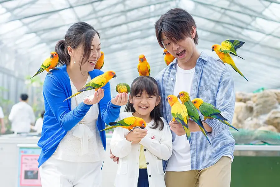 掛川花鳥園」ベビーカー移動◎家族みんなでインコを肩にのせよう