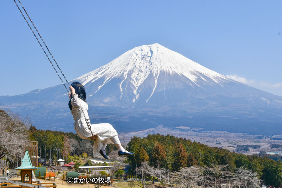まかいの牧場のハイジのブランコ